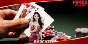 bai-catte