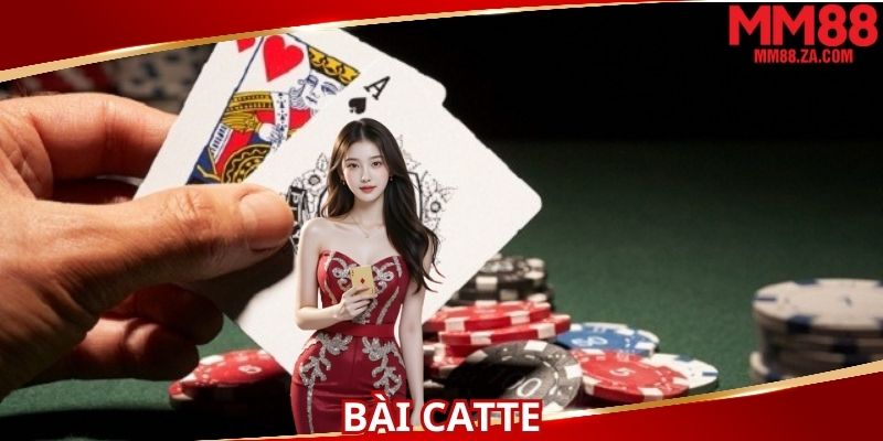 bai-catte