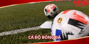 ca-do-bong-da