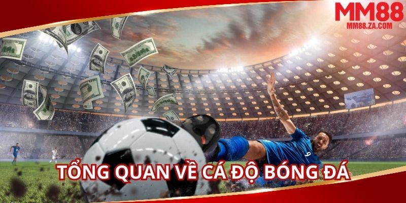 ca-do-bong-da-la-hinh-thuc-giai-tri-ua-chuong-hien-nay