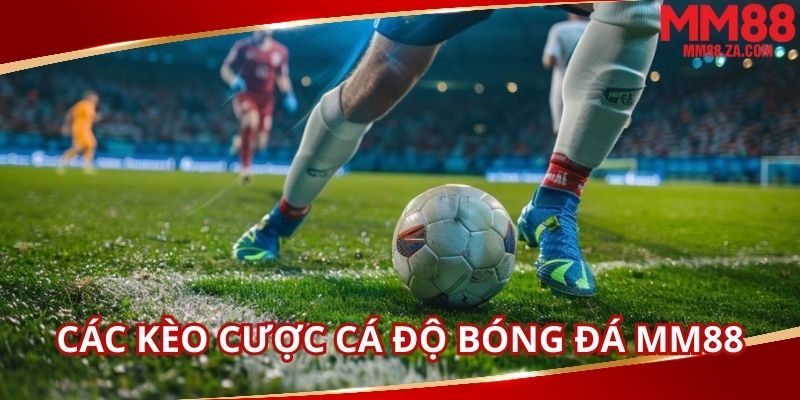 ca-do-bong-da-mm88-voi-da-dang-cac-loai-keo