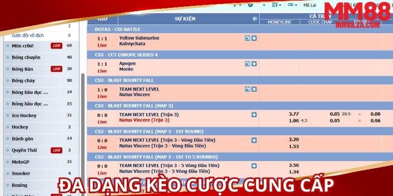 da-dang-keo-cuoc-duoc-cung-cap-de-lua-chon