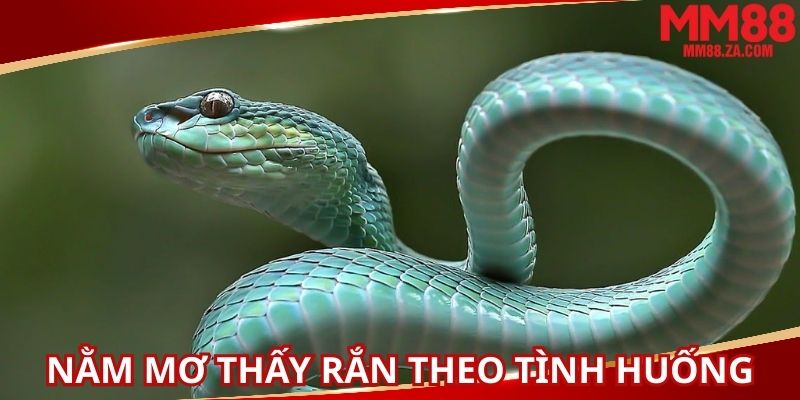 nam-mo-thay-ran-lot-xac-tin-hieu-su-thay-doi-tich-cuc