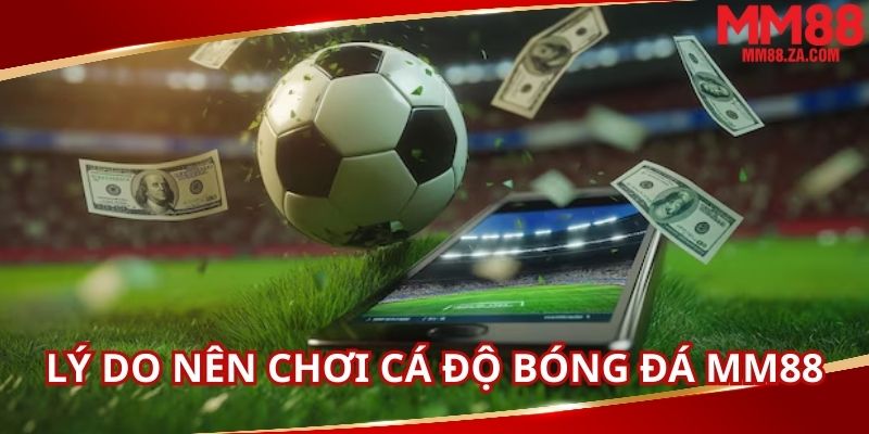 nha-cai-mang-den-ca-do-bong-da-voi-ty-le-thuong-lon